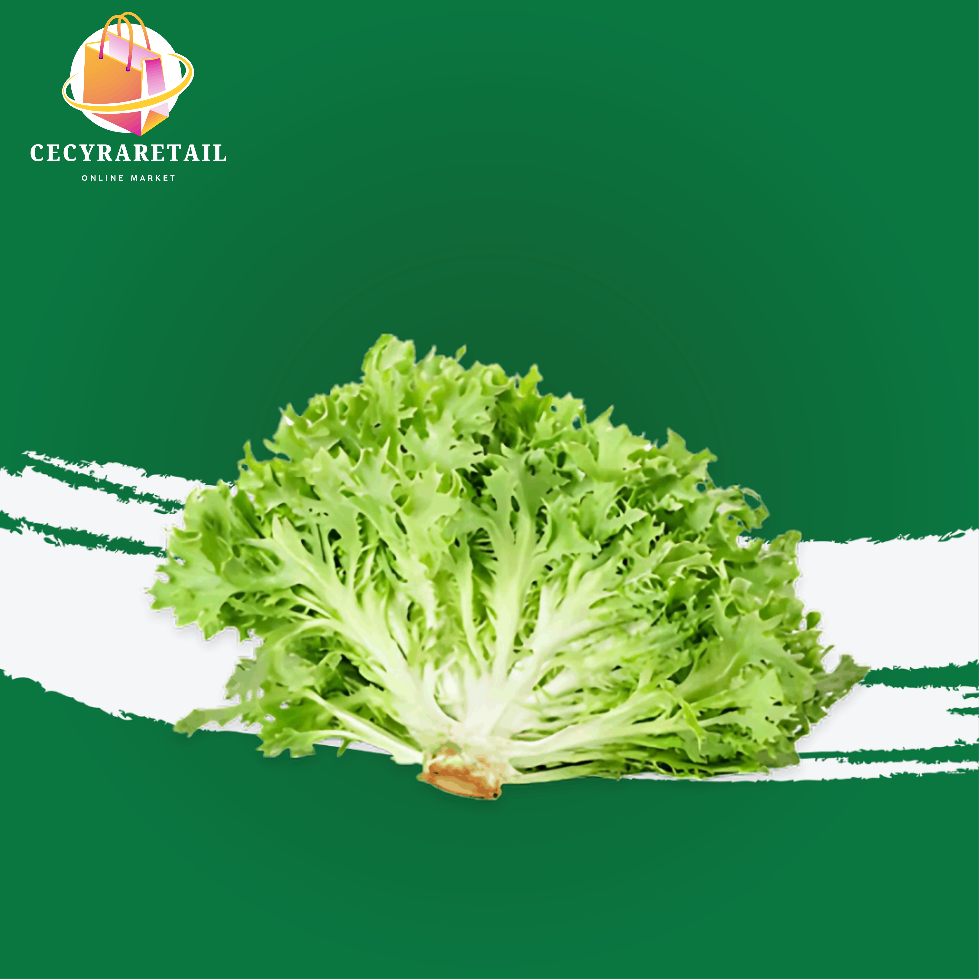 Fresh Lettuce